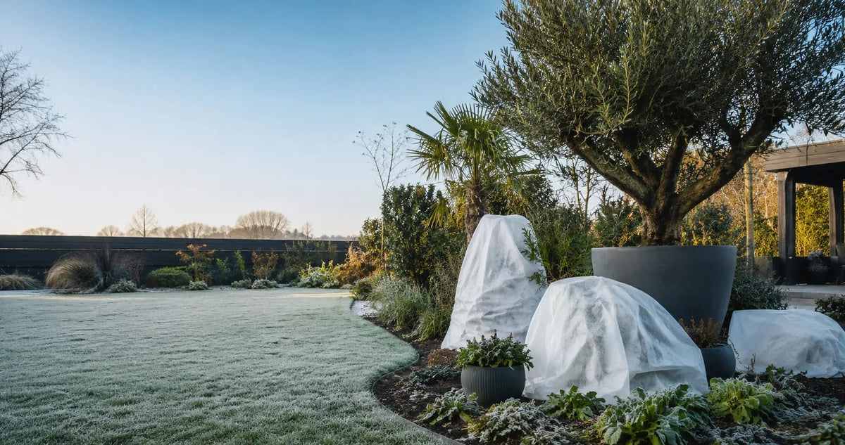 Wintertuin met rijp: borderplanten beschermd tegen vorst onder los wit vliesdoek