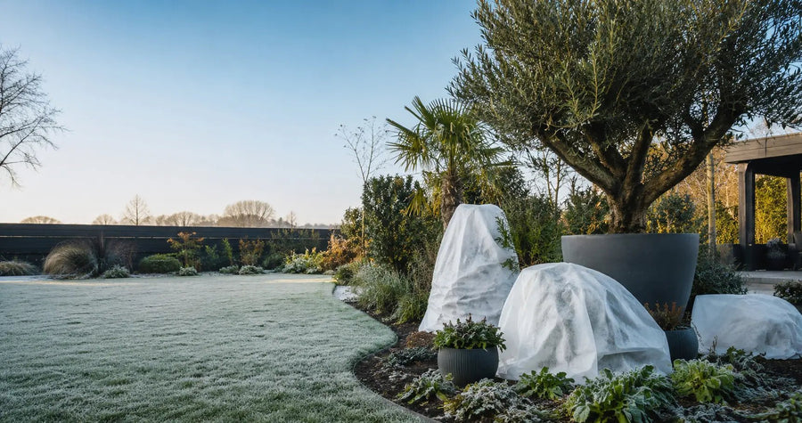 Wintertuin met rijp: borderplanten beschermd tegen vorst onder los wit vliesdoek