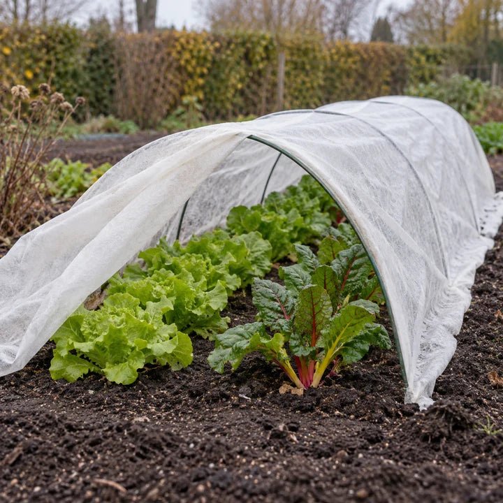 Wit vliesdoek over lage bogen boven een moestuinbed met bladgroenten